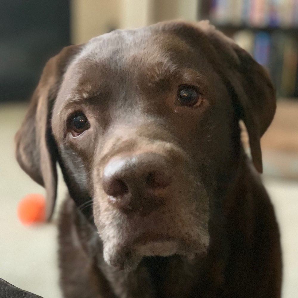 Meet your Posher, Deborah